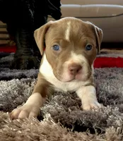 processed/e4b33b40-d850-4a89-9f27-8b690d5e0ec3/listing/45bce96b-60df-433b-a0bd-b8a0e2267a0f/0beabaf2-922a-4304-80f7-5d999aab4dce