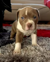 processed/e4b33b40-d850-4a89-9f27-8b690d5e0ec3/listing/45bce96b-60df-433b-a0bd-b8a0e2267a0f/23130566-2aeb-4cd9-88d6-30533e5a0612