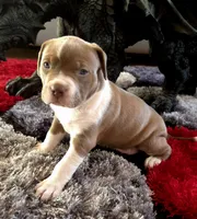 processed/e4b33b40-d850-4a89-9f27-8b690d5e0ec3/listing/45bce96b-60df-433b-a0bd-b8a0e2267a0f/b05029f5-4f30-4459-be9e-3fee2e28ccd7