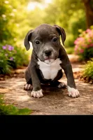 processed/e4b33b40-d850-4a89-9f27-8b690d5e0ec3/listing/6194247e-e78c-4562-ba86-7c31372c4ff9/5d38e489-0f42-4420-81cd-ed1ed8b6532a