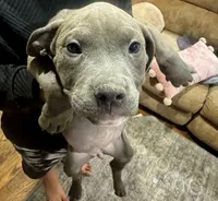 processed/e4b33b40-d850-4a89-9f27-8b690d5e0ec3/listing/6194247e-e78c-4562-ba86-7c31372c4ff9/7df61635-4566-446e-b63a-74daead776da