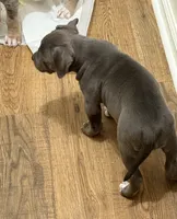 processed/e4b33b40-d850-4a89-9f27-8b690d5e0ec3/listing/890bbc76-5bb5-4d9d-9b74-481bbfe0382e/1e0e9aeb-5329-4133-9c6b-35cf8fe0b04f