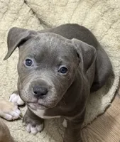 processed/e4b33b40-d850-4a89-9f27-8b690d5e0ec3/listing/890bbc76-5bb5-4d9d-9b74-481bbfe0382e/7c836685-98ba-4019-8c2b-fc468a1588dd