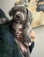 processed/e4b33b40-d850-4a89-9f27-8b690d5e0ec3/listing/890bbc76-5bb5-4d9d-9b74-481bbfe0382e/85b7c00b-74e2-4ab0-bd73-a32323fcca92