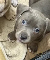 processed/e4b33b40-d850-4a89-9f27-8b690d5e0ec3/listing/890bbc76-5bb5-4d9d-9b74-481bbfe0382e/9f188d76-3fb0-4d1c-ac2f-308fa1d309da