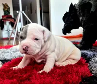 processed/e4b33b40-d850-4a89-9f27-8b690d5e0ec3/listing/bb8fc5b6-189f-4dda-80f3-a96817e07041/1a23b824-9126-406f-851d-f0ab0e1d93c1