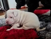 processed/e4b33b40-d850-4a89-9f27-8b690d5e0ec3/listing/bb8fc5b6-189f-4dda-80f3-a96817e07041/5f9384f4-4187-44c9-9832-9cebd7a0540f