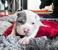 processed/e4b33b40-d850-4a89-9f27-8b690d5e0ec3/listing/bb8fc5b6-189f-4dda-80f3-a96817e07041/867d9d16-05c5-47da-b747-9aa45ab78d15