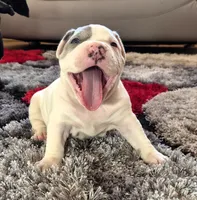 processed/e4b33b40-d850-4a89-9f27-8b690d5e0ec3/listing/bb8fc5b6-189f-4dda-80f3-a96817e07041/bd832cc0-412a-4392-ba9c-c10c057d18cb