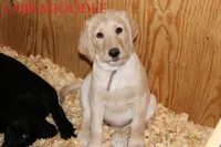 processed/e4b7940f-2175-4ab9-831e-89104ddebb42/listing/0647426b-df56-4f2b-86a6-87ba979726a5/840fb689-58c0-48ad-b6c5-5180ec3da6e8