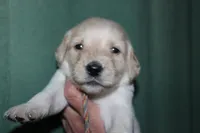 processed/e4b7940f-2175-4ab9-831e-89104ddebb42/listing/0647426b-df56-4f2b-86a6-87ba979726a5/89fc52ae-1429-4772-b341-bab0c6b6f285