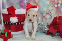 processed/e4b7940f-2175-4ab9-831e-89104ddebb42/listing/0647426b-df56-4f2b-86a6-87ba979726a5/e1b712a5-3839-4700-b60d-45a391bc5b59