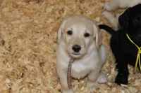 processed/e4b7940f-2175-4ab9-831e-89104ddebb42/listing/0647426b-df56-4f2b-86a6-87ba979726a5/ea877d1b-4931-45f2-be1f-ccfee3007e4e