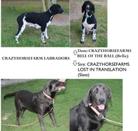 processed/e4b7940f-2175-4ab9-831e-89104ddebb42/listing/435ac559-136f-41c0-b23c-31de21801bf0/5d783728-49d6-48c5-b132-59c364e01ebd