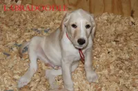 processed/e4b7940f-2175-4ab9-831e-89104ddebb42/listing/435ac559-136f-41c0-b23c-31de21801bf0/b705d44d-900c-4171-a28d-3ed55672a317