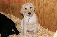 processed/e4b7940f-2175-4ab9-831e-89104ddebb42/listing/482e9b26-5566-4d35-9712-17eaa9feb4a1/593dba4d-11a3-49e0-b110-0eb9c6c511ae