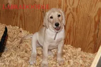 processed/e4b7940f-2175-4ab9-831e-89104ddebb42/listing/482e9b26-5566-4d35-9712-17eaa9feb4a1/a0f5fbe0-c447-4977-9697-53fe7e7984bc