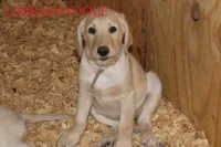 processed/e4b7940f-2175-4ab9-831e-89104ddebb42/listing/482e9b26-5566-4d35-9712-17eaa9feb4a1/ad73cfb8-2fca-4b7b-af08-d27944ebd618