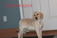 processed/e4b7940f-2175-4ab9-831e-89104ddebb42/listing/482e9b26-5566-4d35-9712-17eaa9feb4a1/debca92a-cdf3-4b01-bdea-f573172c163c