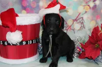 processed/e4b7940f-2175-4ab9-831e-89104ddebb42/listing/769a80a6-bf55-4b36-9f6f-0159b54ee3ed/5d00f647-03e5-489a-b8e3-5922601c3845