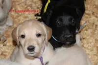 processed/e4b7940f-2175-4ab9-831e-89104ddebb42/listing/769a80a6-bf55-4b36-9f6f-0159b54ee3ed/6994b22f-c7f7-4f28-acbd-36bc8c76e4b6