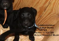 processed/e4b7940f-2175-4ab9-831e-89104ddebb42/listing/769a80a6-bf55-4b36-9f6f-0159b54ee3ed/9b3fa565-9239-4e1e-90d7-59701290b049