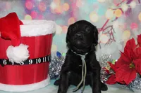 processed/e4b7940f-2175-4ab9-831e-89104ddebb42/listing/769a80a6-bf55-4b36-9f6f-0159b54ee3ed/9c10a4ca-4445-426f-bde8-5eb2ae4096f6