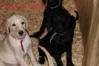 processed/e4b7940f-2175-4ab9-831e-89104ddebb42/listing/769a80a6-bf55-4b36-9f6f-0159b54ee3ed/eff47eca-b5d2-48b8-9d69-7d5a6a7f3ec8