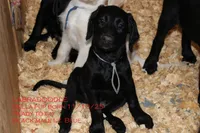 processed/e4b7940f-2175-4ab9-831e-89104ddebb42/listing/769a80a6-bf55-4b36-9f6f-0159b54ee3ed/ffe3902e-dd08-40d9-9a94-a37d58454c17