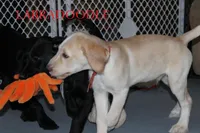 processed/e4b7940f-2175-4ab9-831e-89104ddebb42/listing/9f64a739-fbdd-4255-9f85-7d47bcbfd2a8/6b22fd72-5a05-4bfe-8720-4144e8e0d9f7