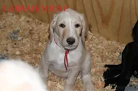 processed/e4b7940f-2175-4ab9-831e-89104ddebb42/listing/9f64a739-fbdd-4255-9f85-7d47bcbfd2a8/b9d54dfc-3bc8-4654-9797-ed37ff66e95d