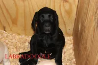 processed/e4b7940f-2175-4ab9-831e-89104ddebb42/listing/a5dace68-af50-4005-b624-399b5f00a728/4036e8b8-f8bf-4ed6-81c6-2ec4ff8be36f