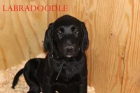 processed/e4b7940f-2175-4ab9-831e-89104ddebb42/listing/a5dace68-af50-4005-b624-399b5f00a728/5777a048-0ed0-4b13-a86d-ae7277d9d66a