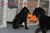 processed/e4b7940f-2175-4ab9-831e-89104ddebb42/listing/a5dace68-af50-4005-b624-399b5f00a728/81b698b3-c557-495c-9c1c-670d9c494f77