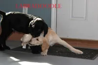 processed/e4b7940f-2175-4ab9-831e-89104ddebb42/listing/a5dace68-af50-4005-b624-399b5f00a728/82d92a85-22f9-4fd8-8442-848ddcd62df0