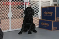 processed/e4b7940f-2175-4ab9-831e-89104ddebb42/listing/a5dace68-af50-4005-b624-399b5f00a728/dac3d783-3088-4b45-806d-822c4ed06f19