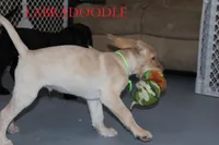 processed/e4b7940f-2175-4ab9-831e-89104ddebb42/listing/ab2af57c-8fd4-4d41-a446-5b2491bd6d0b/1d936537-b6b5-4e51-8aec-e344d6b6a0f4