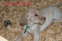 processed/e4b7940f-2175-4ab9-831e-89104ddebb42/listing/ab2af57c-8fd4-4d41-a446-5b2491bd6d0b/9a661e99-0ff9-4e43-9b98-d93a8f7cce2a