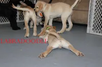 processed/e4b7940f-2175-4ab9-831e-89104ddebb42/listing/ab2af57c-8fd4-4d41-a446-5b2491bd6d0b/a53cebca-8c81-494a-95fb-5b79d67b90f4