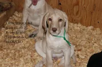 processed/e4b7940f-2175-4ab9-831e-89104ddebb42/listing/ab2af57c-8fd4-4d41-a446-5b2491bd6d0b/c30c343b-c548-4cfb-a64f-4c33dfe8344e