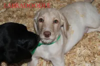 processed/e4b7940f-2175-4ab9-831e-89104ddebb42/listing/ab2af57c-8fd4-4d41-a446-5b2491bd6d0b/cbf59806-8dc4-4f48-b6cb-e17888c15742