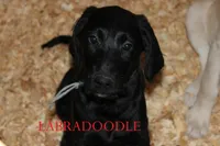 processed/e4b7940f-2175-4ab9-831e-89104ddebb42/listing/ab5ec851-5032-4b89-85f1-4e2839c48765/6f91d970-5bd1-4bcd-baec-ce9481d735ea