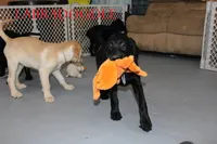 processed/e4b7940f-2175-4ab9-831e-89104ddebb42/listing/ab5ec851-5032-4b89-85f1-4e2839c48765/dd978f91-d7db-4332-a254-4a3f76e233e1