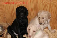 processed/e4b7940f-2175-4ab9-831e-89104ddebb42/listing/bb002ce0-e6b9-4f67-b370-5e7185ae9dd6/aa6cd62a-f4b5-45e5-a968-60575f7c8a05