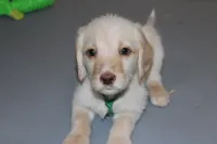 processed/e4b7940f-2175-4ab9-831e-89104ddebb42/listing/fbb775bd-4c0b-44ee-aca0-0de3d2469ca6/0b5875a3-4432-4198-8688-b2493b891724