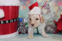 processed/e4b7940f-2175-4ab9-831e-89104ddebb42/listing/fbb775bd-4c0b-44ee-aca0-0de3d2469ca6/565b91b1-141a-4d16-a18d-b95b990a46d3