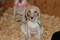 processed/e4b7940f-2175-4ab9-831e-89104ddebb42/listing/fbb775bd-4c0b-44ee-aca0-0de3d2469ca6/a62cd10d-4ace-4da3-9753-23d9c63f928b