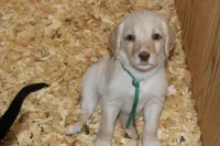 processed/e4b7940f-2175-4ab9-831e-89104ddebb42/listing/fbb775bd-4c0b-44ee-aca0-0de3d2469ca6/b29973eb-3332-42e7-a840-18c6b761969f