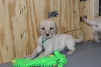 processed/e4b7940f-2175-4ab9-831e-89104ddebb42/listing/fbb775bd-4c0b-44ee-aca0-0de3d2469ca6/bc53ef61-af45-4519-9199-fbcec5804489