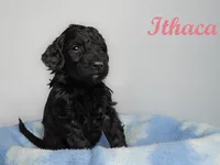 processed/e4bbe38a-4dc3-4cc1-88f2-a2ce6b1e7e9b/listing/03d76442-4a3d-4ff0-a8dc-d8b3f4e9def0/95e8ddf4-3a49-412a-9671-125e25e67822